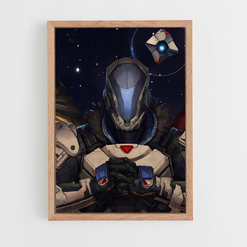 Poster Gardien des Titans – affiche Destiny (vue 4)